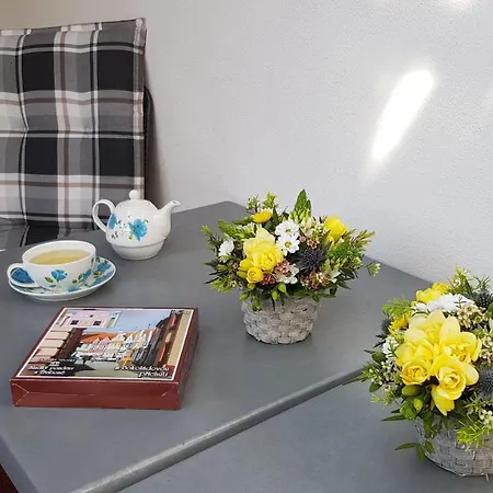 Modra Ruze Guest house