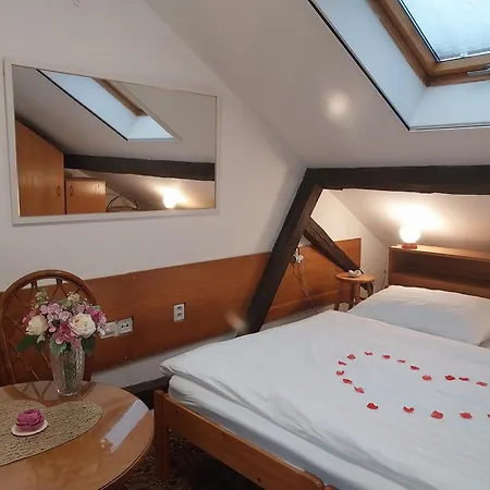 Maison d'hôtes Modra Ruze Třeboň